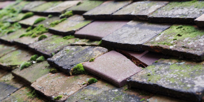 Ampthill roof repair costs